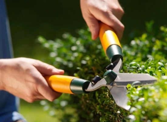Préparer son jardin pour l’hiver en Nord-Isère : le guide complet