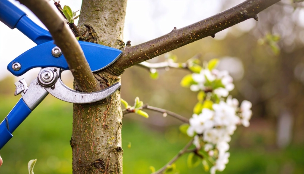 Pourquoi élaguer un arbre dans votre jardin à Charvieu-Chavagneux ?